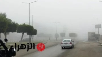 تحذير هيئة الأرصاد من تقلبات جوية مرتقبة تشهدها المملكة يوم 29 رمضان